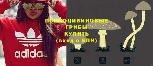 ПСИЛОЦИБИНОВЫЕ ГРИБЫ Бронницы