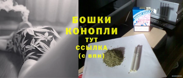 крисы Бугульма