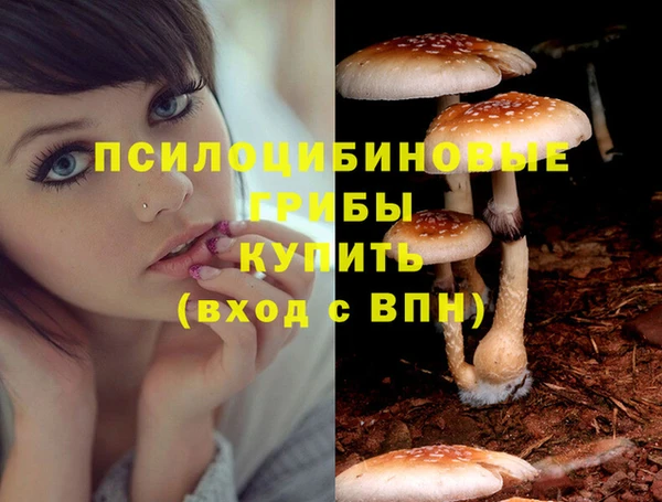 крисы Бугульма