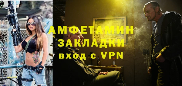 ГАЛЛЮЦИНОГЕННЫЕ ГРИБЫ Бородино