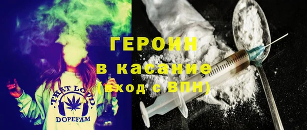 ГАЛЛЮЦИНОГЕННЫЕ ГРИБЫ Бородино