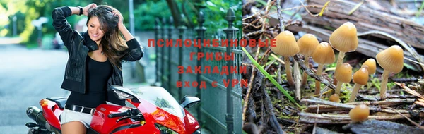 крисы Бугульма