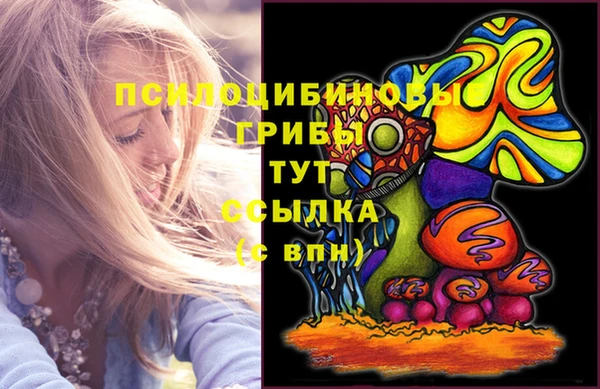 крисы Бугульма