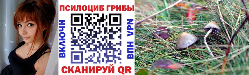 как найти   ОМГ ОМГ как войти  Псилоцибиновые грибы Magic Shrooms  Калининград 